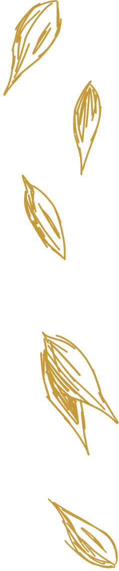 Logo der Stegmühle Hainzell