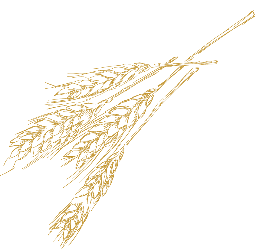 Logo der Stegmühle Hainzell